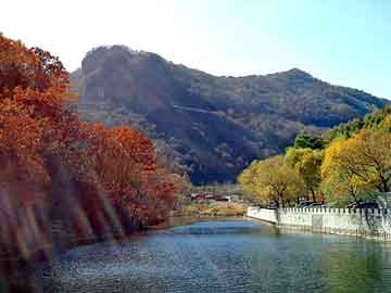 澳门天天开奖免费资料，大叶女贞产地